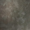 Artellion-TS240121
