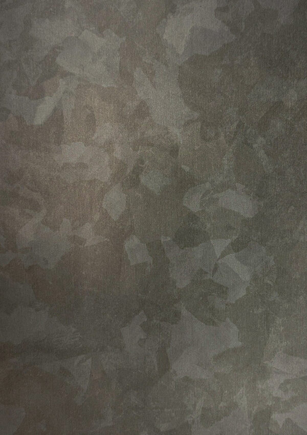 Artellion-TS240121