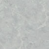 WS6225