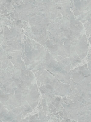 WS6225