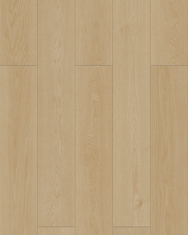 PKD 7507 達克瓦茲